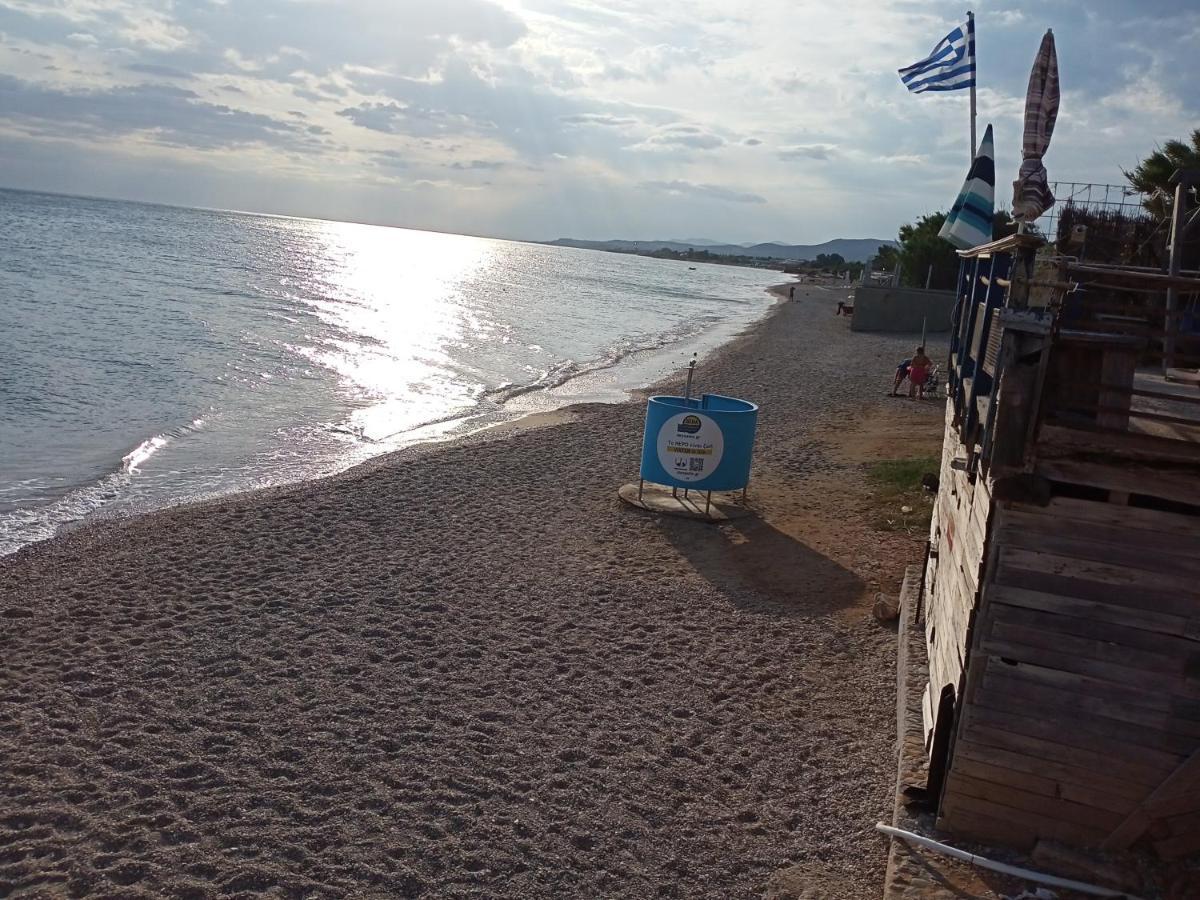 Apartmán Semi-Basement 250M From Sea, Nea Chili Alexandrupoli Exteriér fotografie