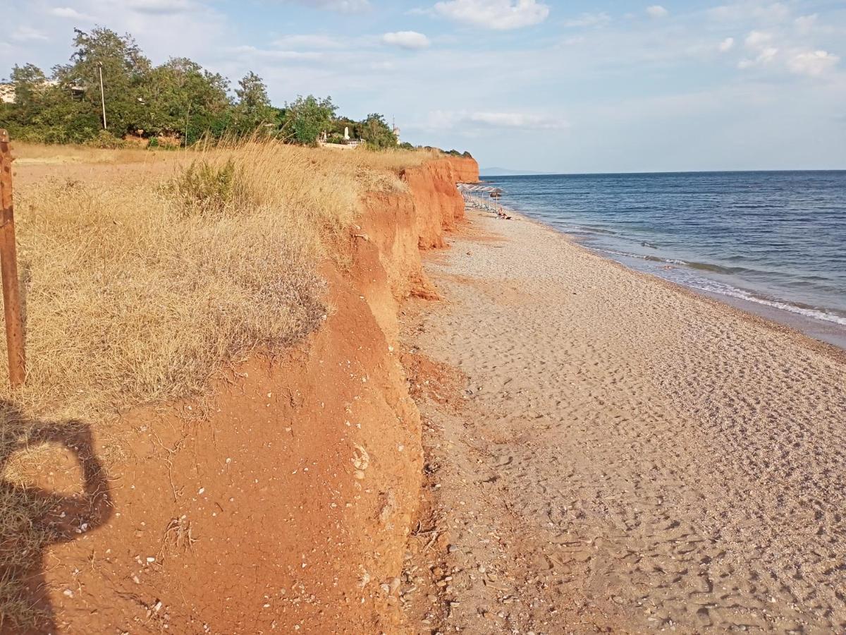 Apartmán Semi-Basement 250M From Sea, Nea Chili Alexandrupoli Exteriér fotografie